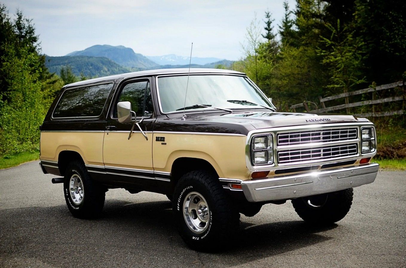1979 Plymouth Trail Duster In Horseheads, NY - Foto 3