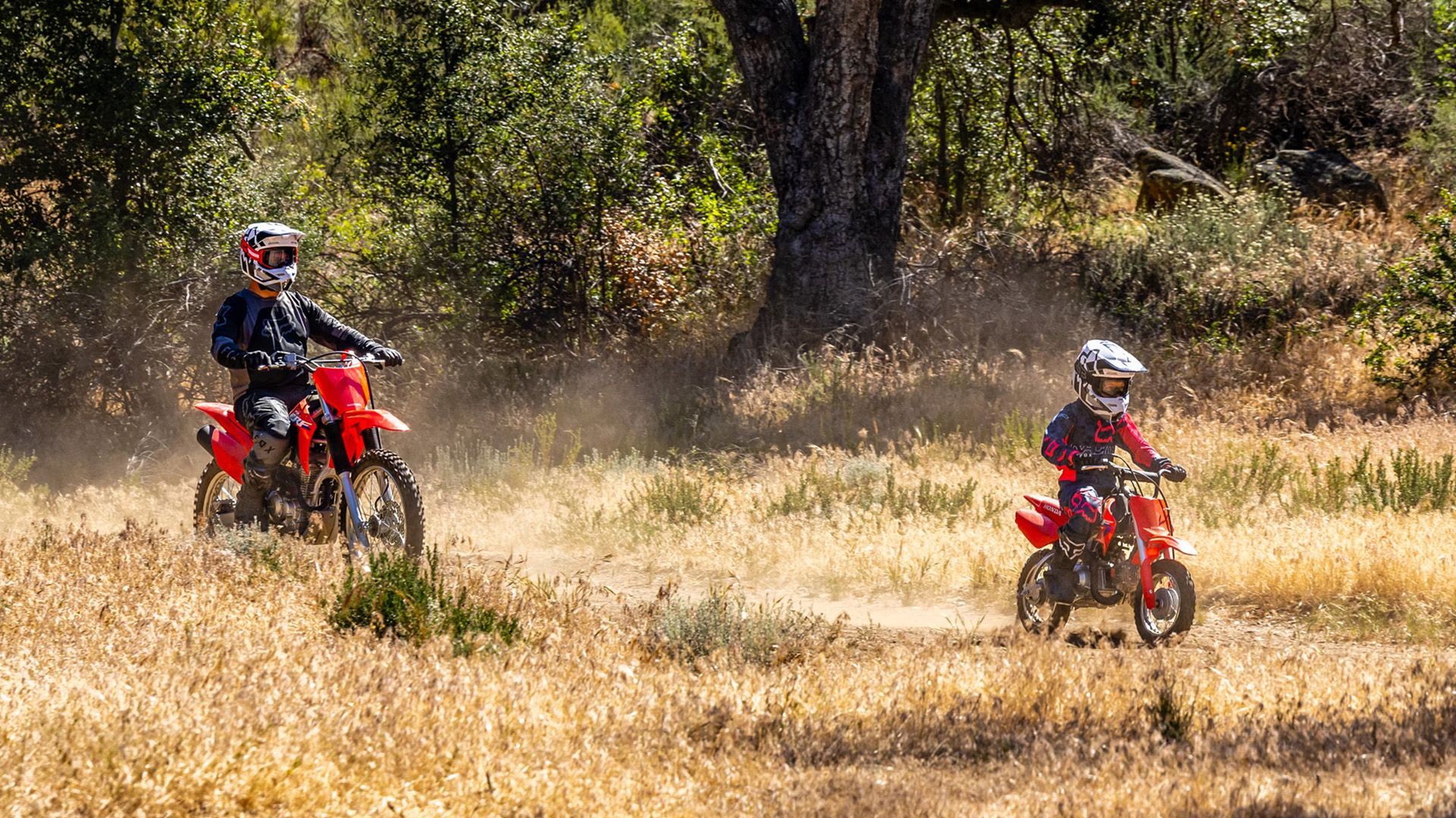 Sepeda Motor Trail Anak Sempurna Honda CRF50F 2024