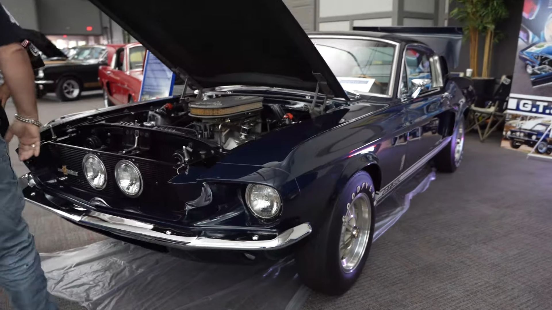 Shelby GT350 navy blue front view