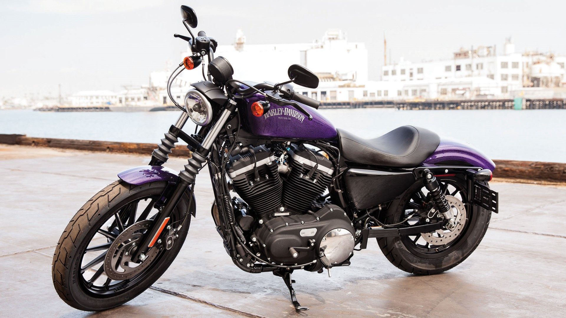 2014 Harley-Davidson Sportster Iron 883 in purple 