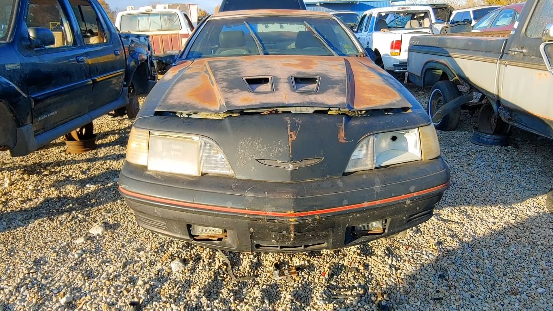 A black 1988 Ford Thunderbird Turbo Coupe junkyard find front shot  
