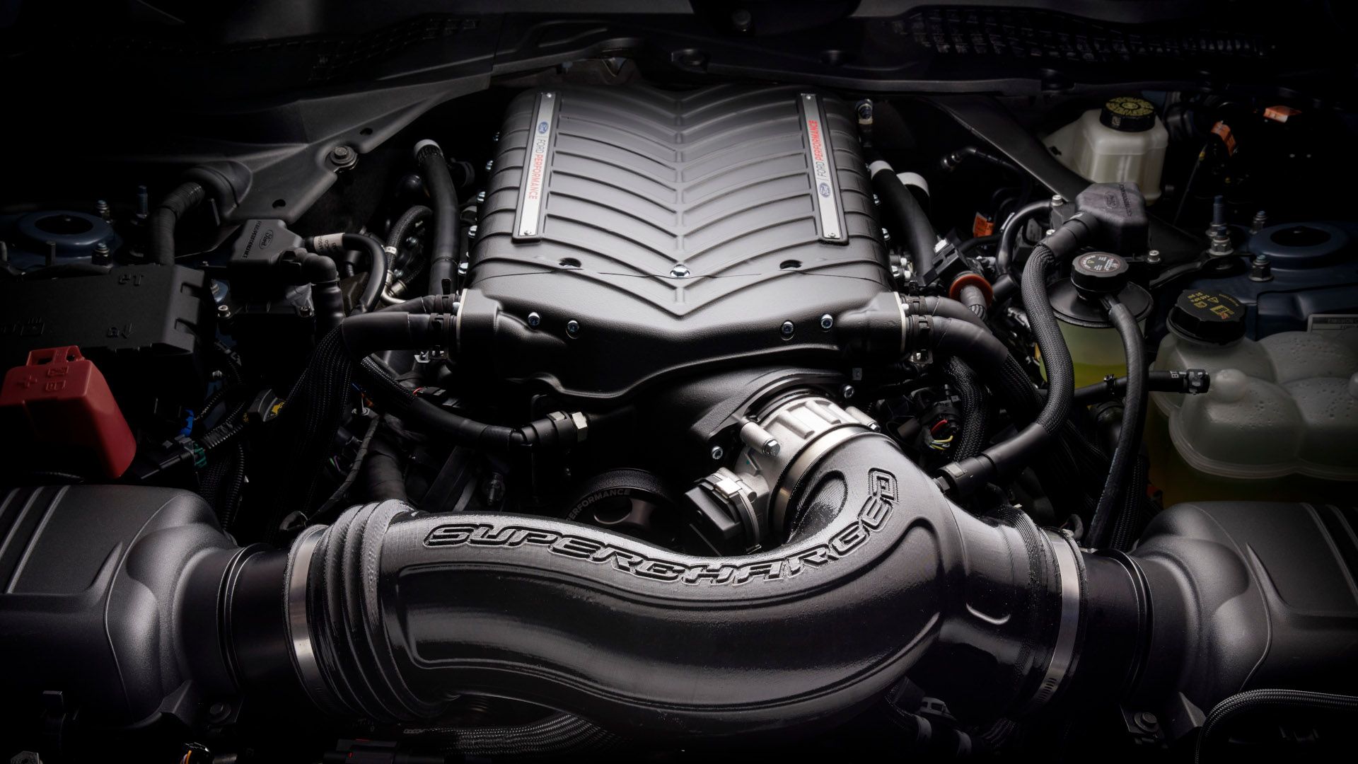 FP800S Ford Mustang Supercharger