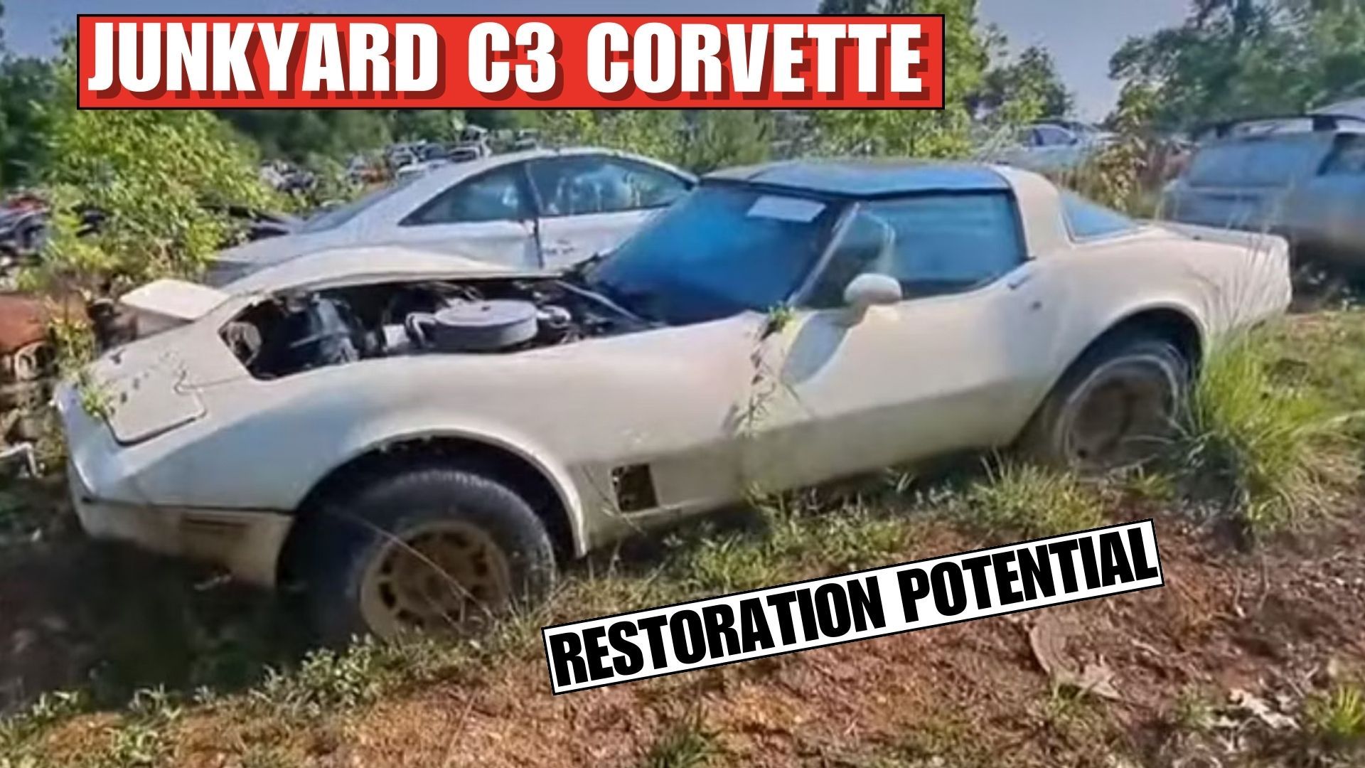 Ohio Junkyard Holds Chevy Corvette Gold In Its Midst