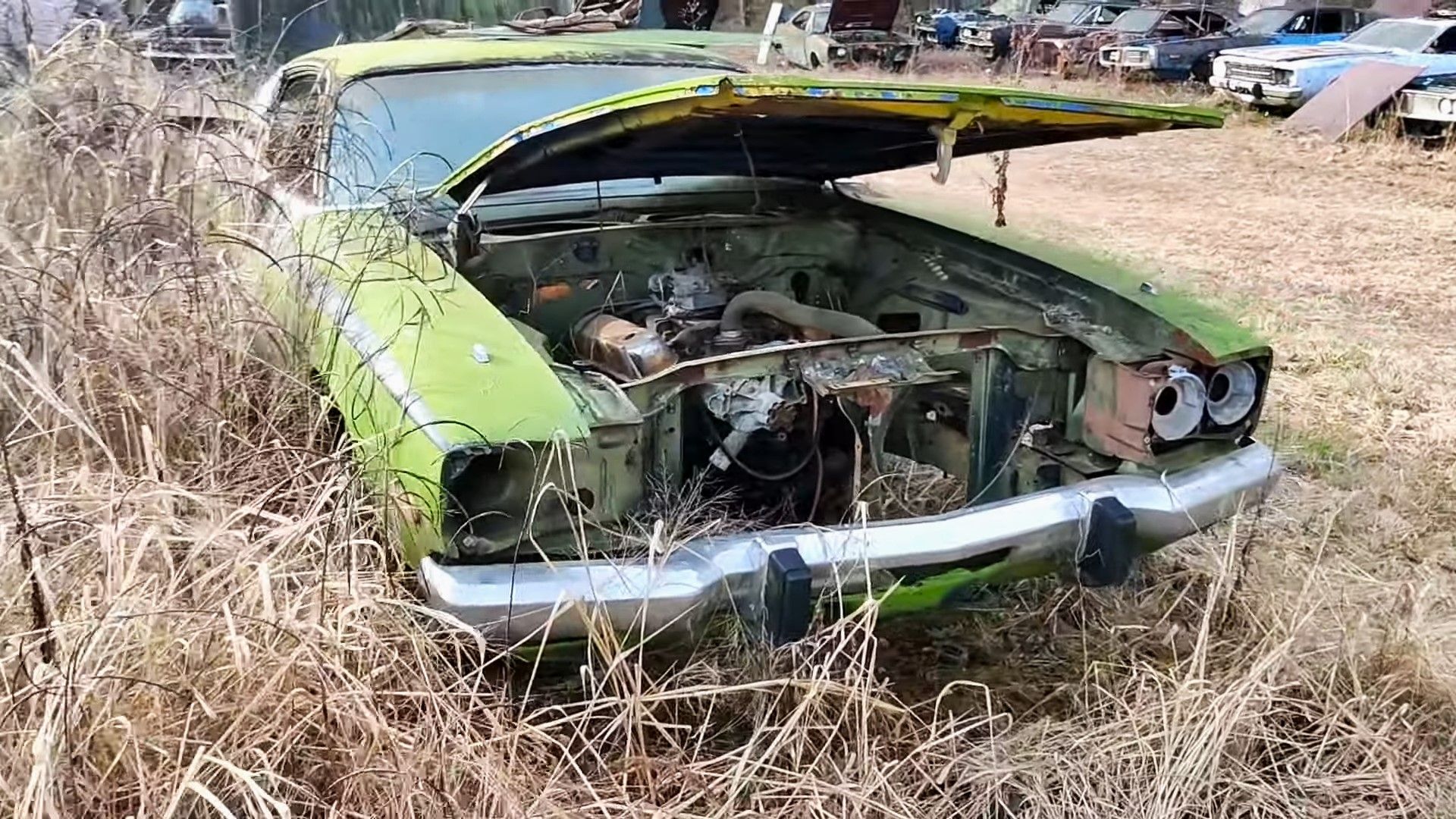 A green 1974 Plymouth Satellite Sebring junkyard find front quarter shot