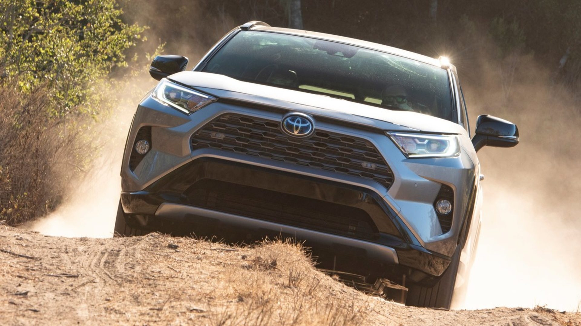 2019 Toyota RAV4 Hybrid