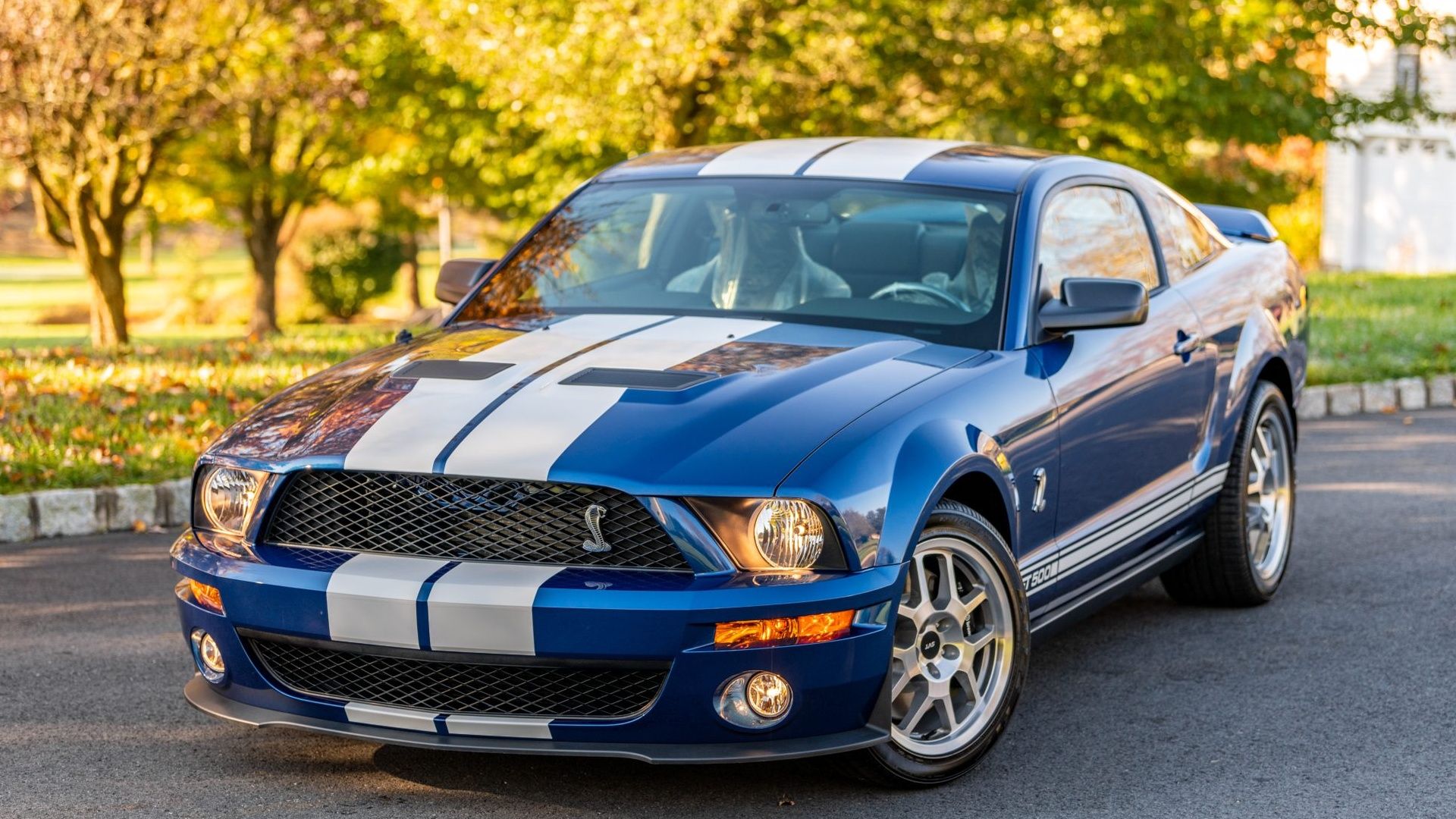 Ford Shelby GT500 2007