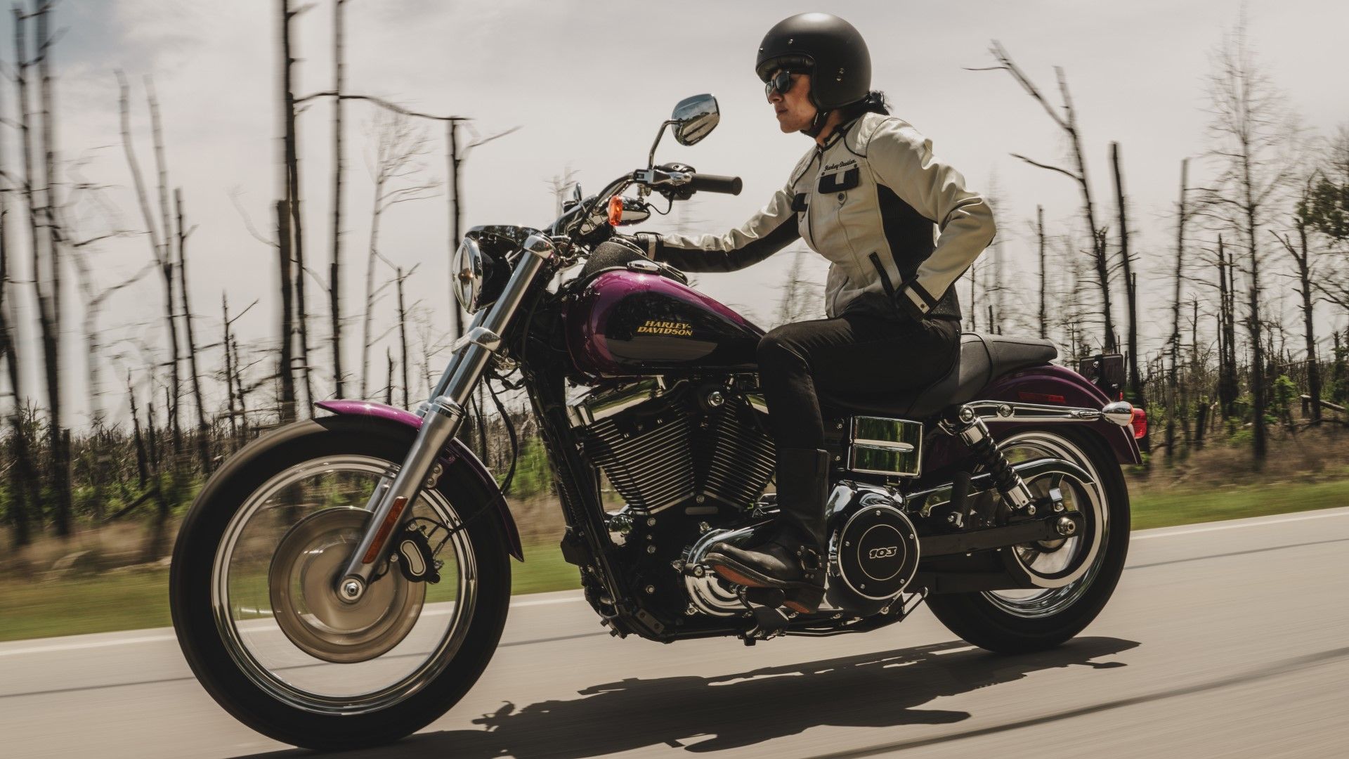 2016 Harley-Davidson Dyna Low Rider on the road