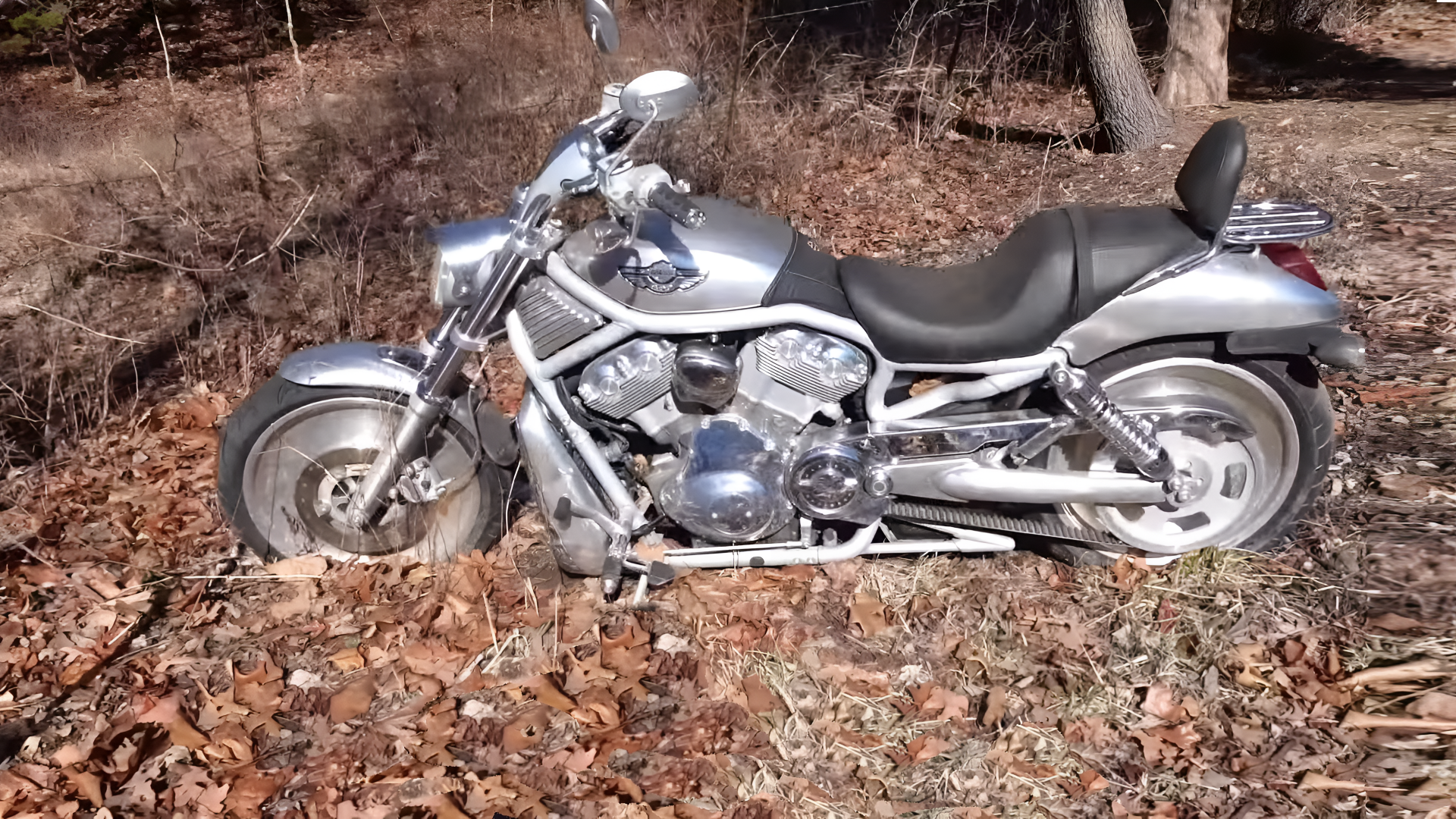 This Harley-Davidson V-Rod Was Found In The Woods
