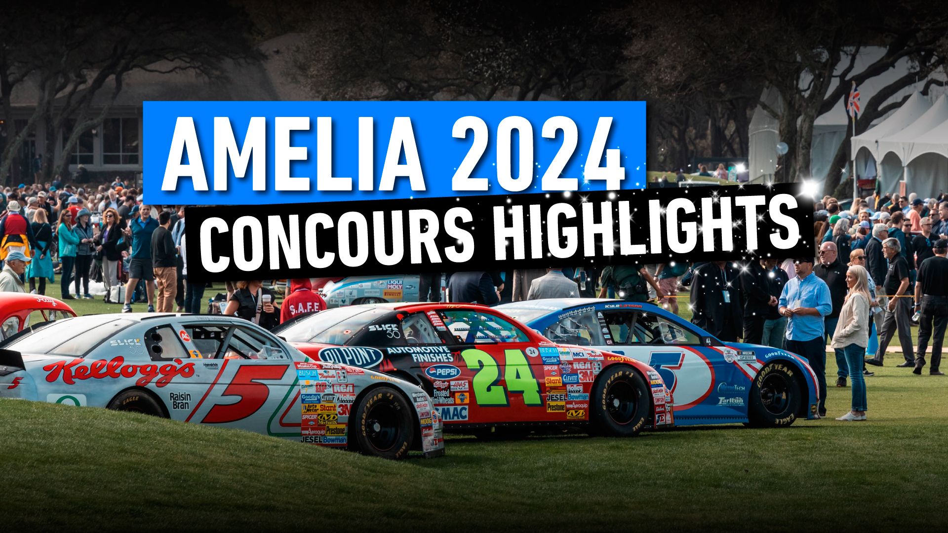 AMELIA-2024---Concours-Highlights