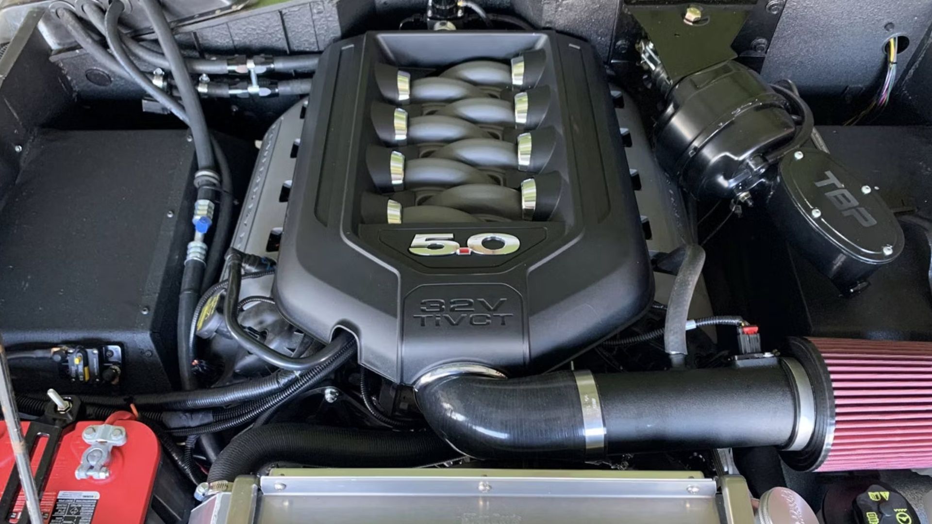 Coiote V8