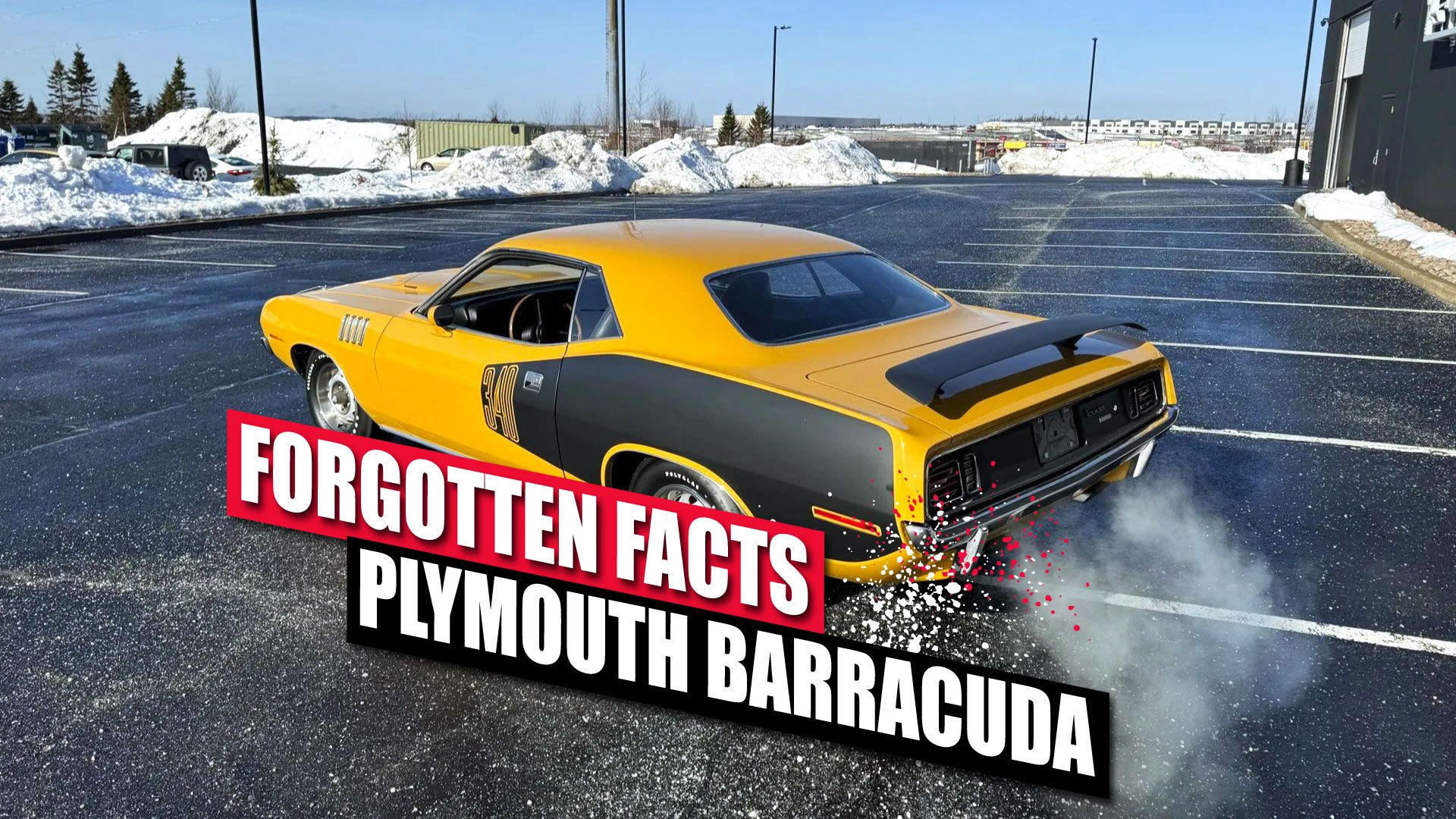 Plymouth Barracuda forgotten facts