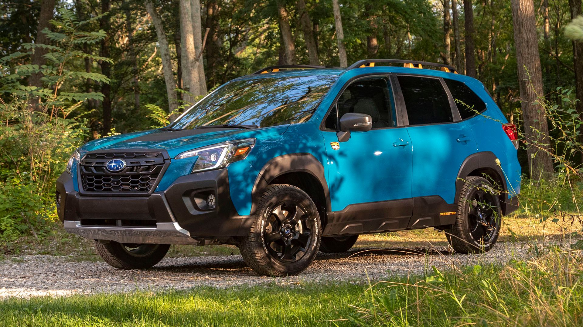 Subaru Forester Wilderness 2024