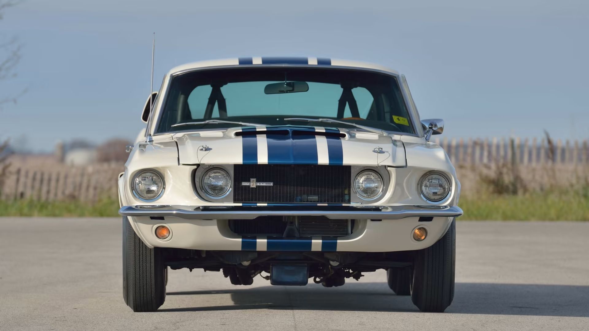 Frente quadrada Shelby GT500 Super Snake branca 1967