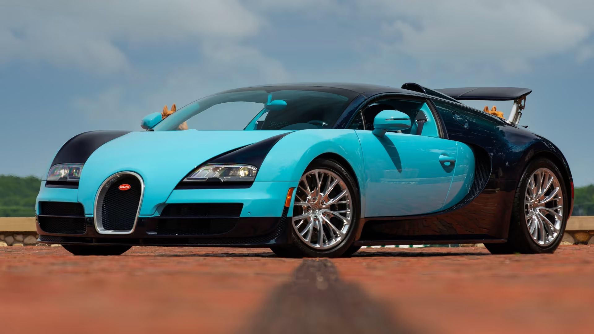 Bugatti Veyron Azul 2009