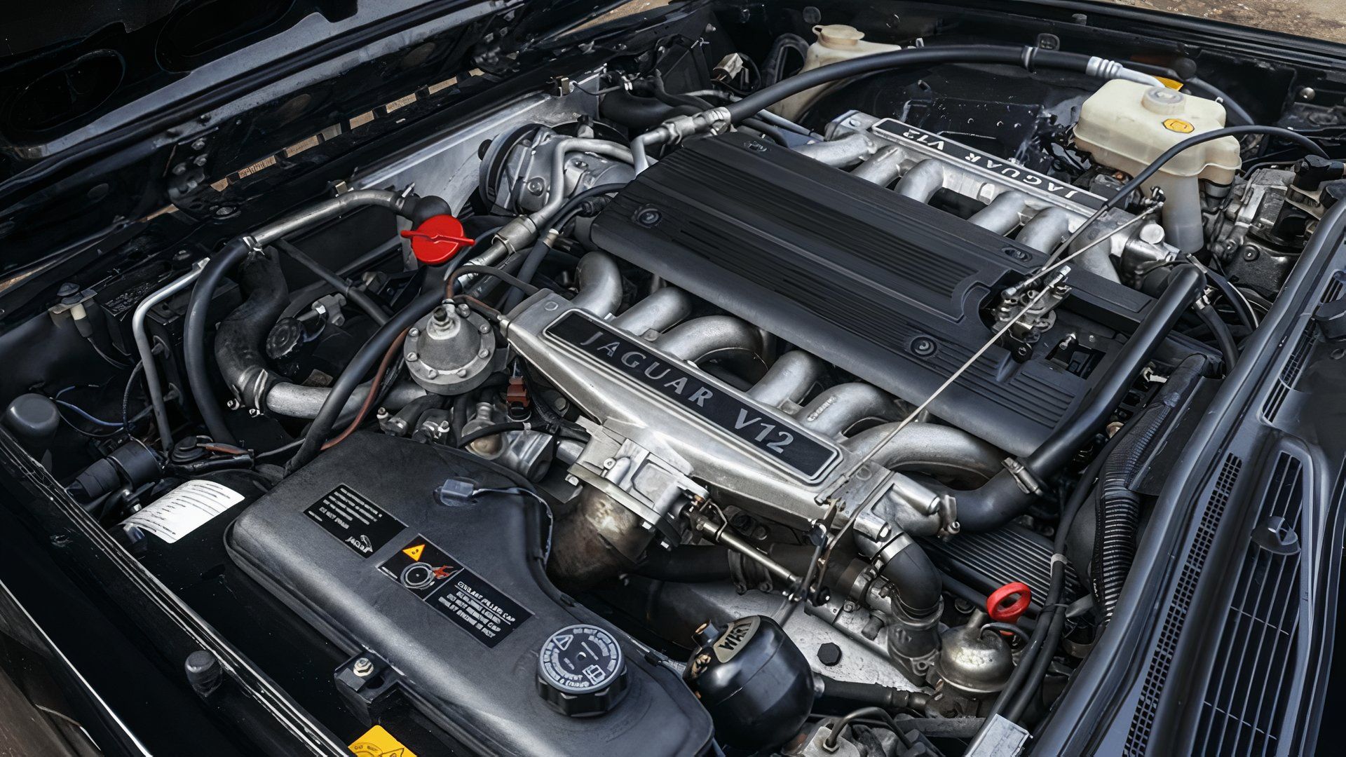 Motor Lister XJ12 V12 de 1993