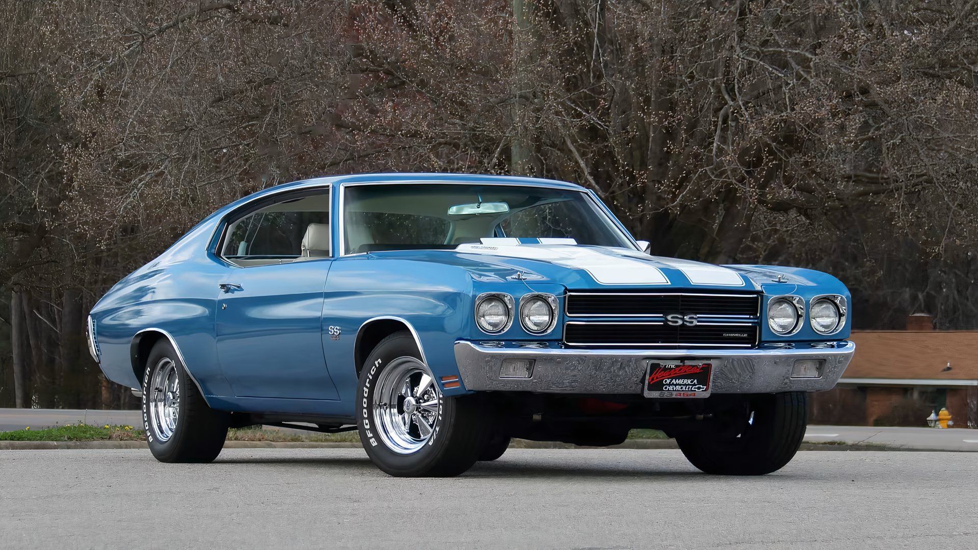 classic cars collecting